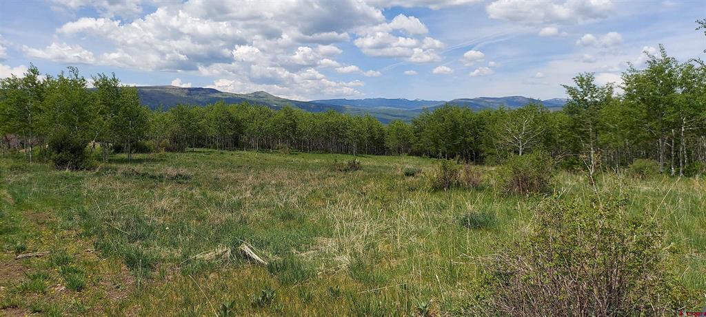 Tbd Highway 133 Property Photo 5
