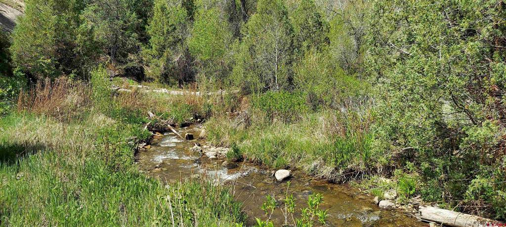 Tbd Highway 133 Property Photo 6