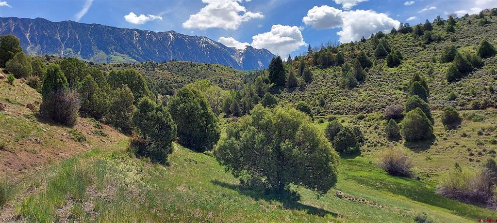 Tbd Highway 133 Property Photo 7