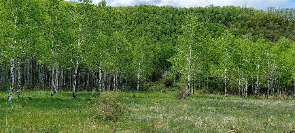 Tbd Highway 133 Property Photo 8