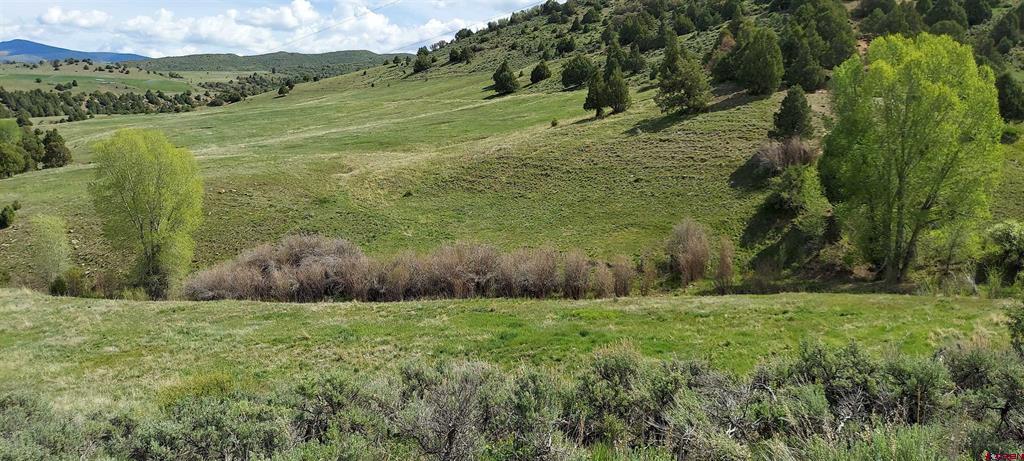 Tbd Highway 133 Property Photo 9