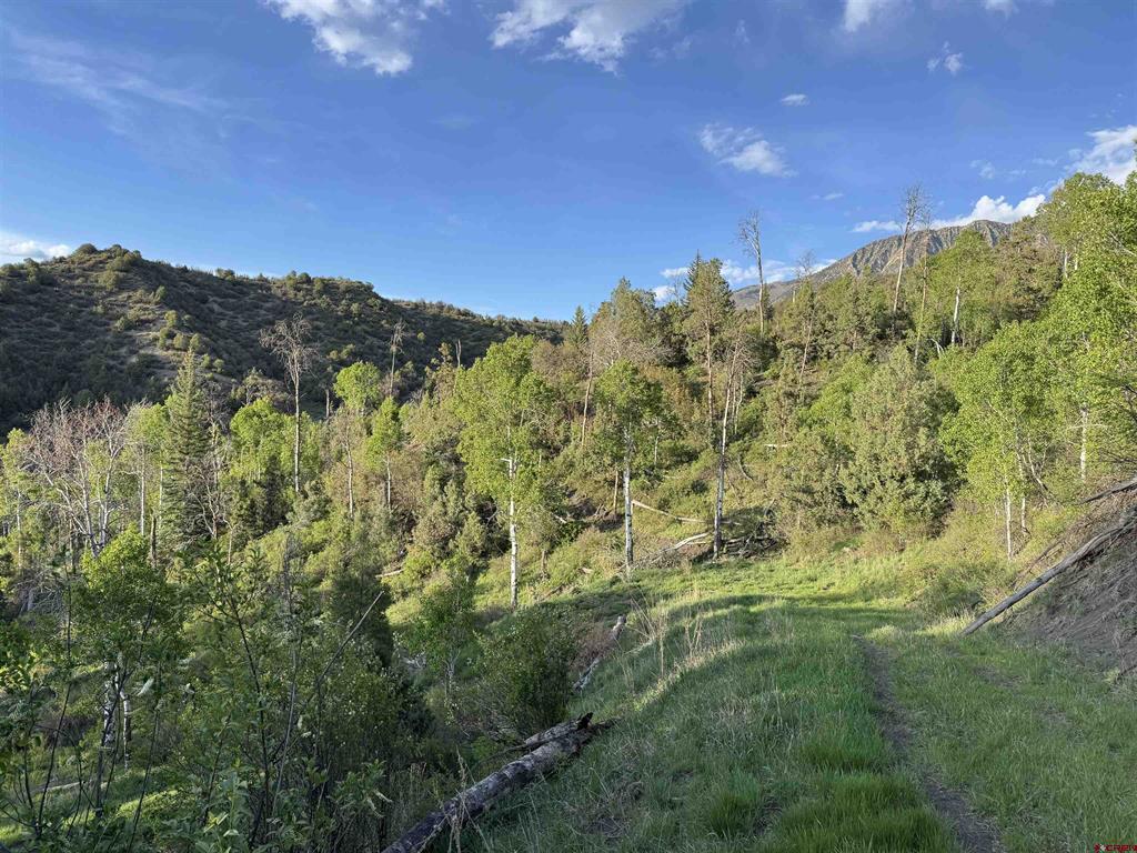 Tbd Highway 133 Property Photo 10