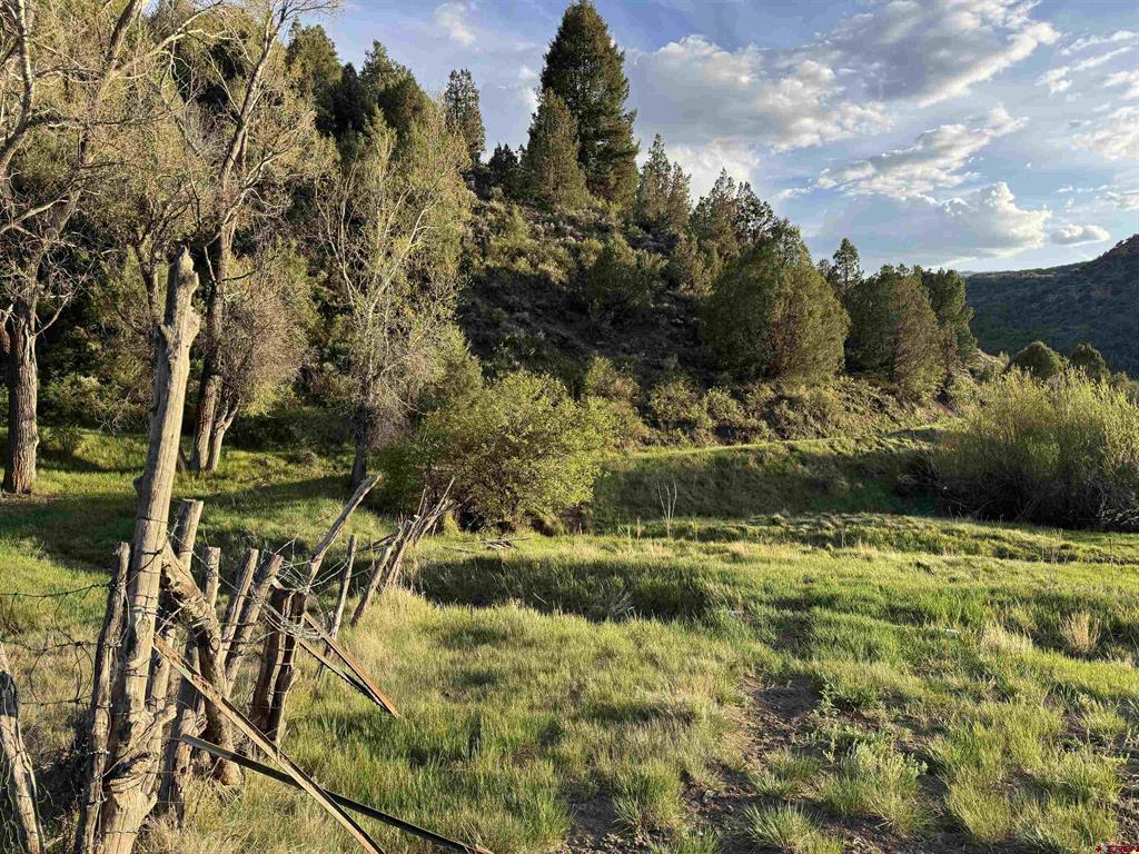 Tbd Highway 133 Property Photo 11