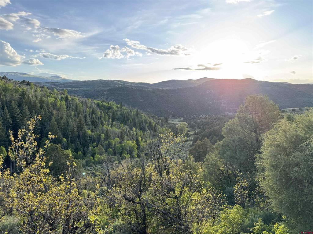 Tbd Highway 133 Property Photo 12