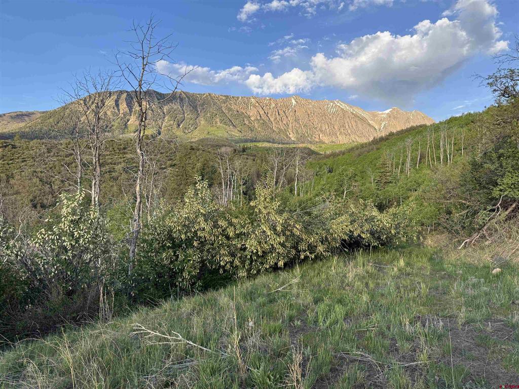 Tbd Highway 133 Property Photo 13