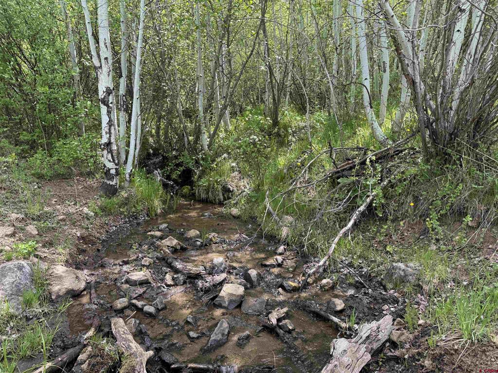 Tbd Highway 133 Property Photo 14