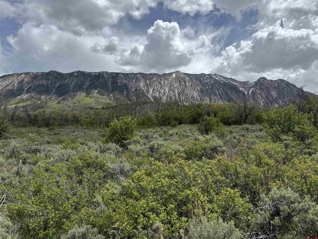 Tbd Highway 133 Property Photo 15