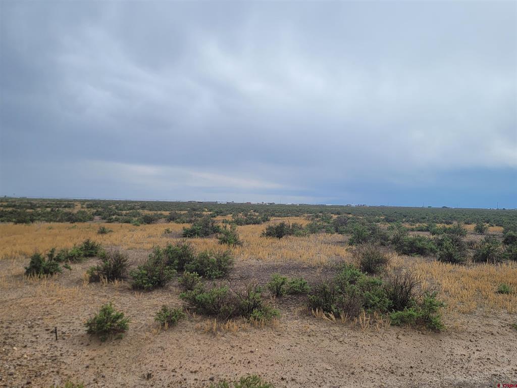 58086 Betty Lee Drive Property Photo 1