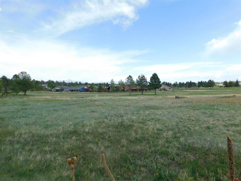 141 Pines Club Place Property Photo 1