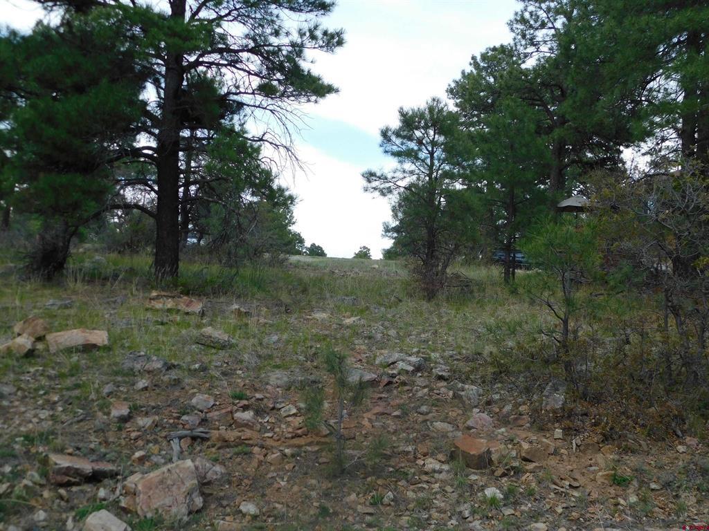 49 Masters Circle Property Photo 1