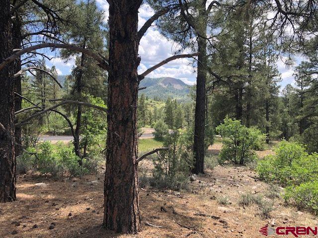 596 Ginger Circle Property Photo