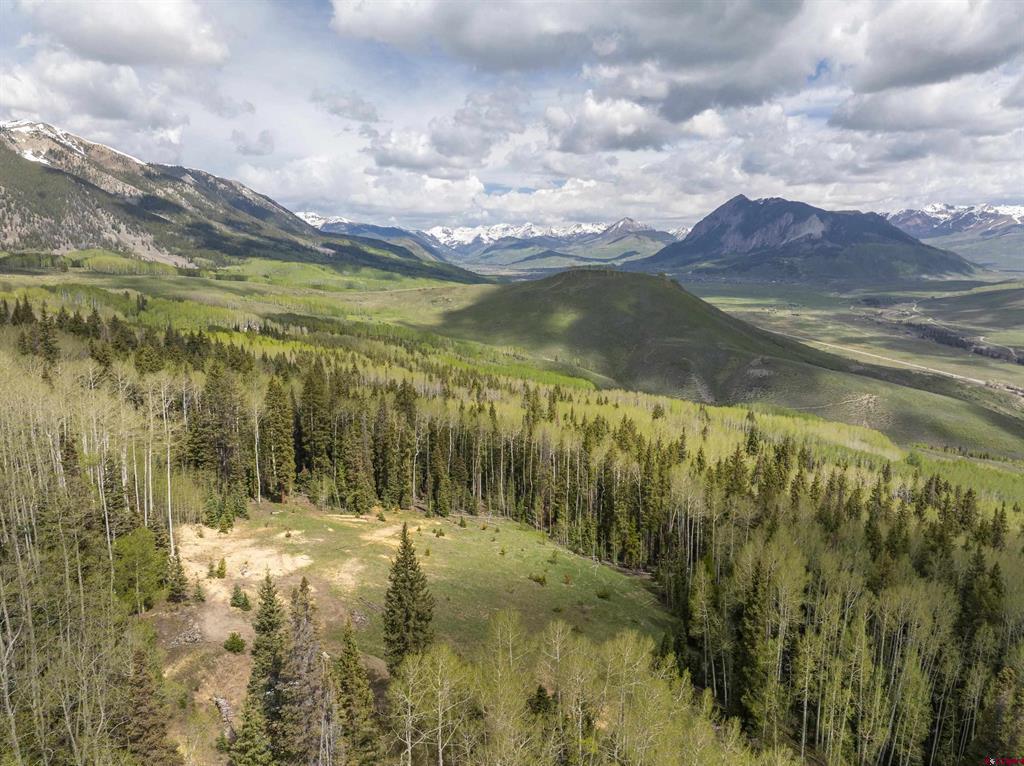 141 White Buffalo Trail Property Photo 1