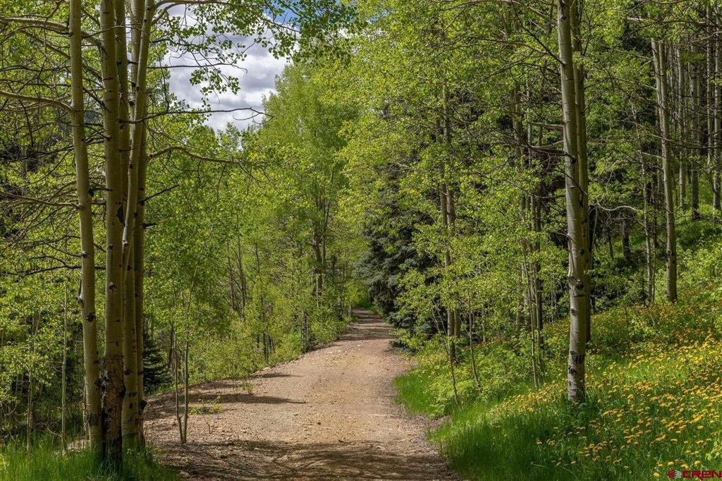 Tbd Lot 6 Dolores River Trail Property Photo 1