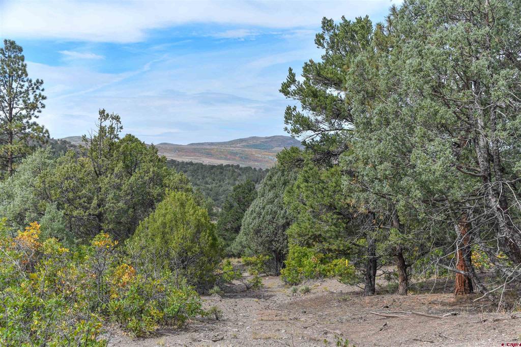 Tbd County Road 7a Property Photo 4