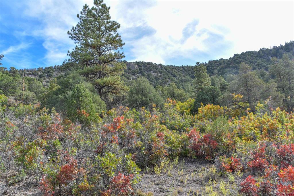 Tbd County Road 7a Property Photo 7
