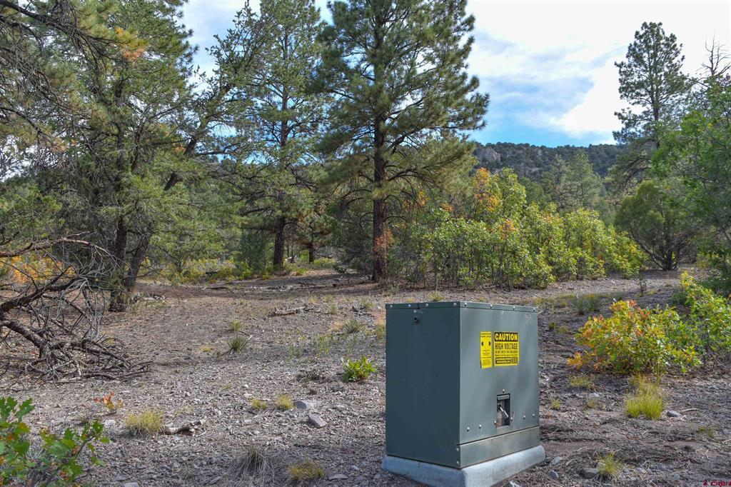 Tbd County Road 7a Property Photo 8