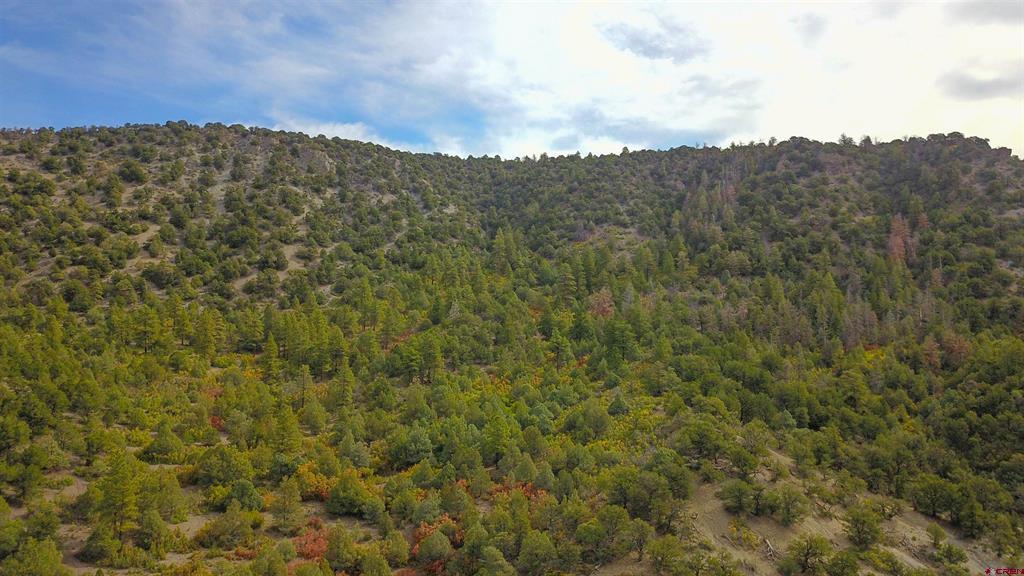 Tbd County Road 7a Property Photo 9