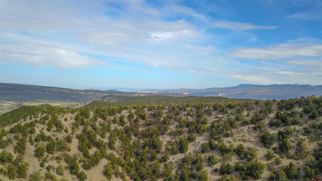 Tbd County Road 7a Property Photo 10