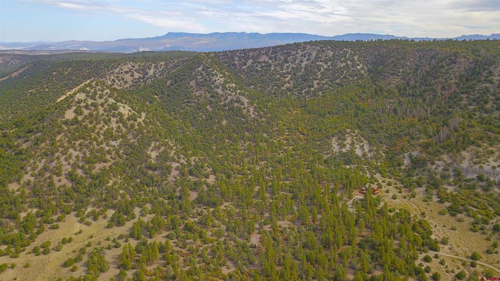 Tbd County Road 7a Property Photo 14