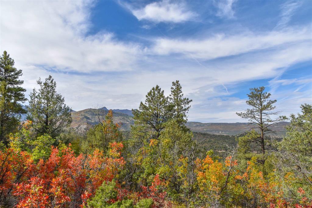 Tbd County Road 7a Property Photo 15