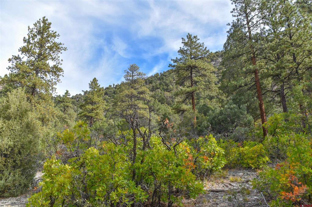 Tbd County Road 7a Property Photo 16