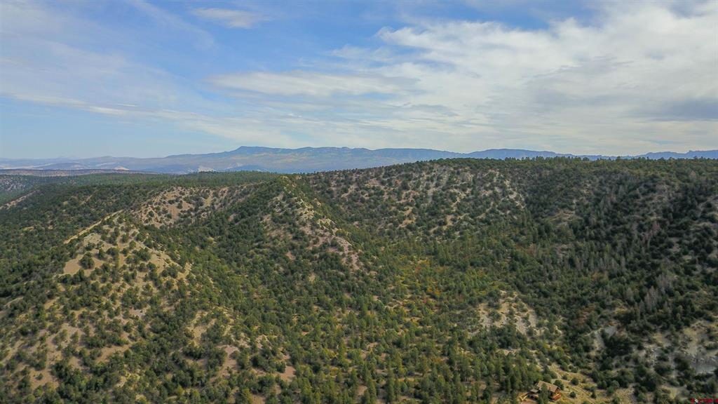 Tbd County Road 7a Property Photo 17