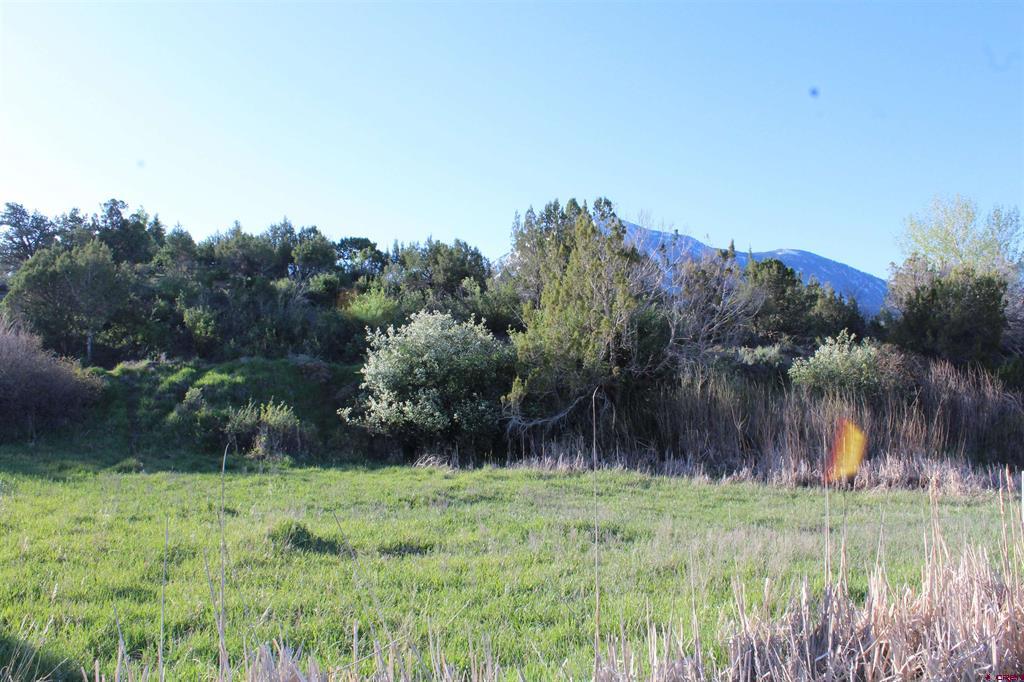 Tbd Gunnison Mountain Lane Property Photo 1