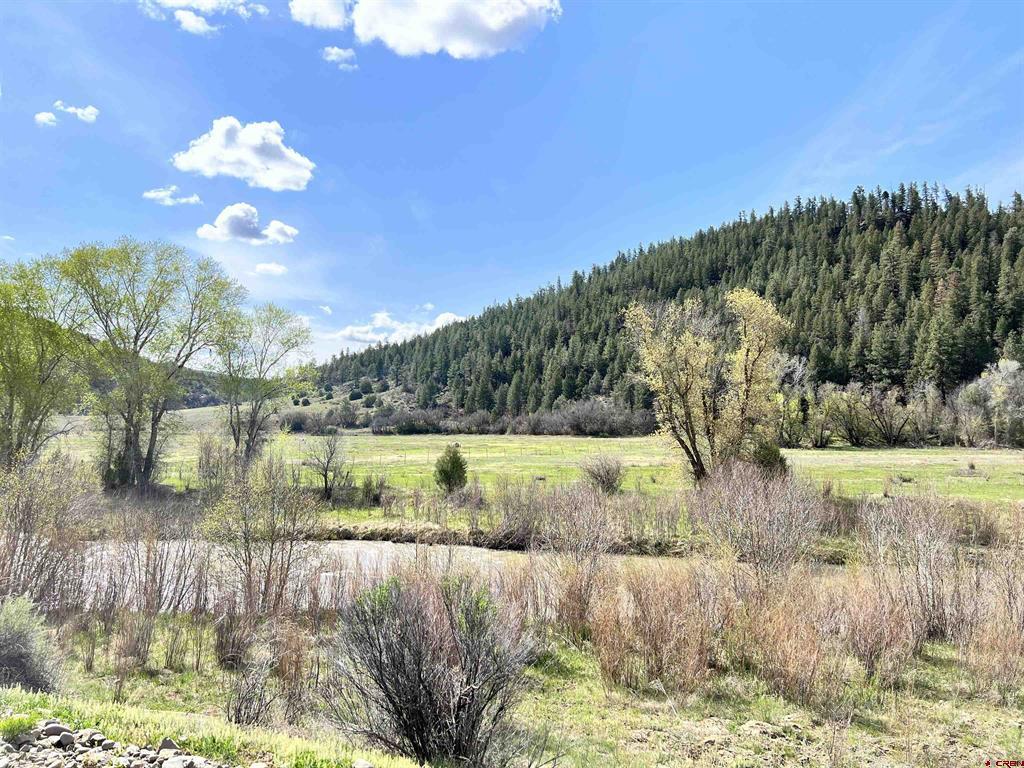 Tbd County Road 551 Property Photo