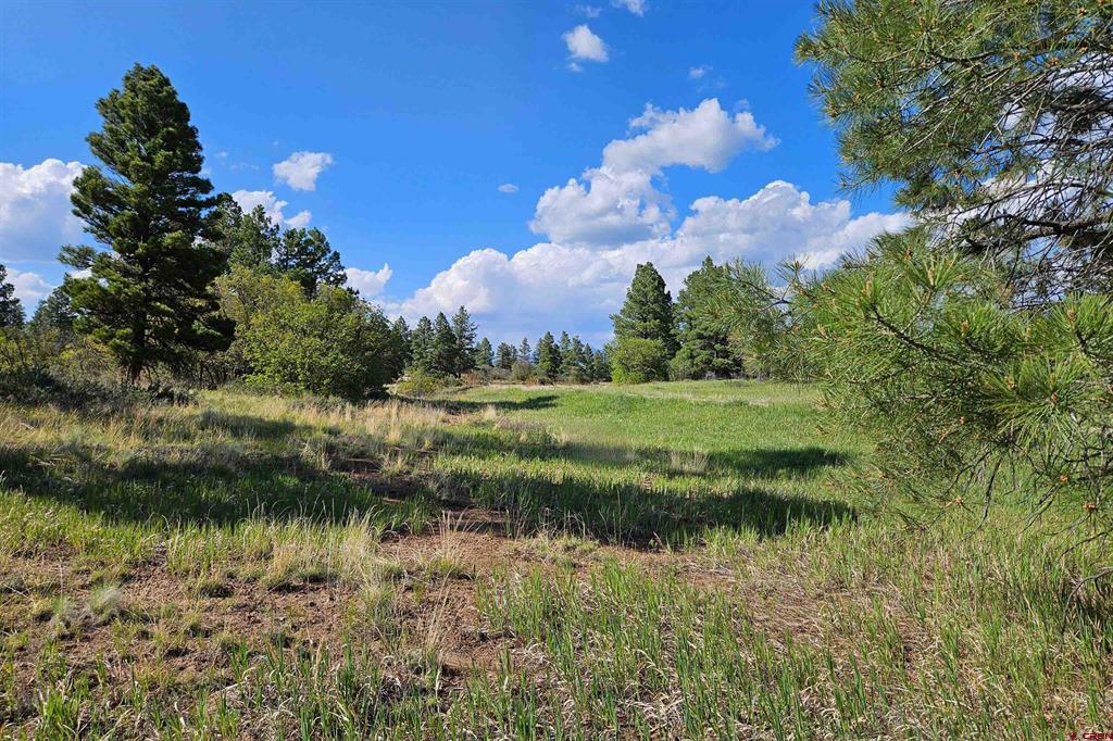 1305 Trails Boulevard Property Photo