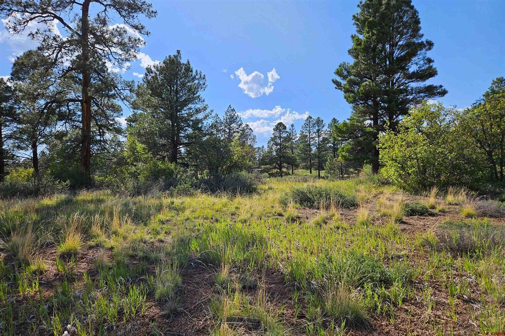 1305 Trails Boulevard Property Photo 1