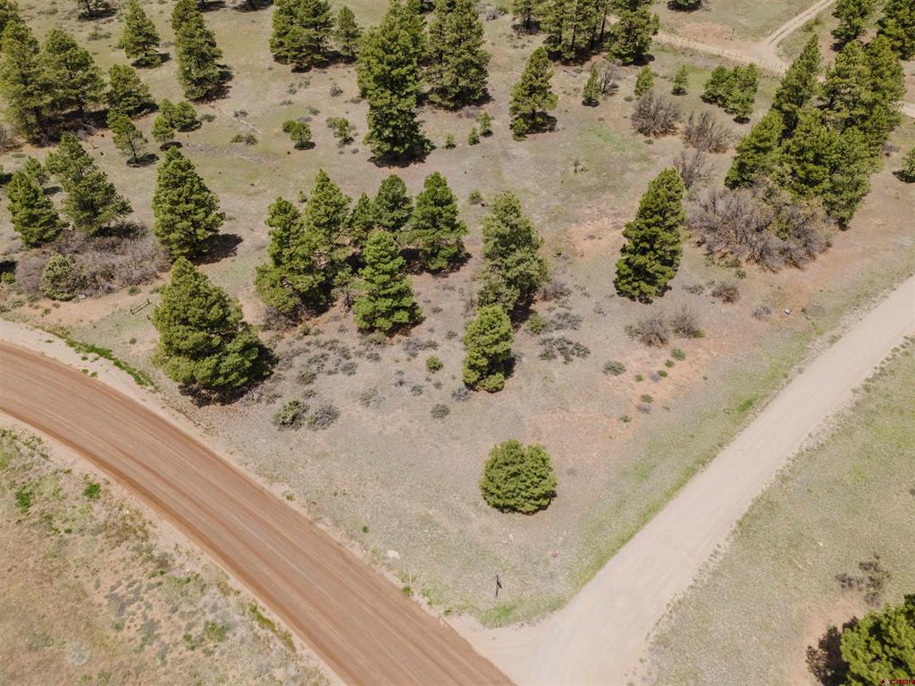 1305 Trails Boulevard Property Photo 5