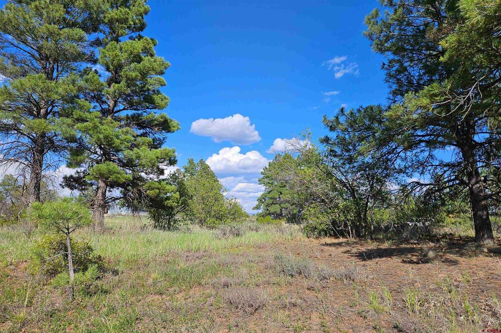 1305 Trails Boulevard Property Photo 9