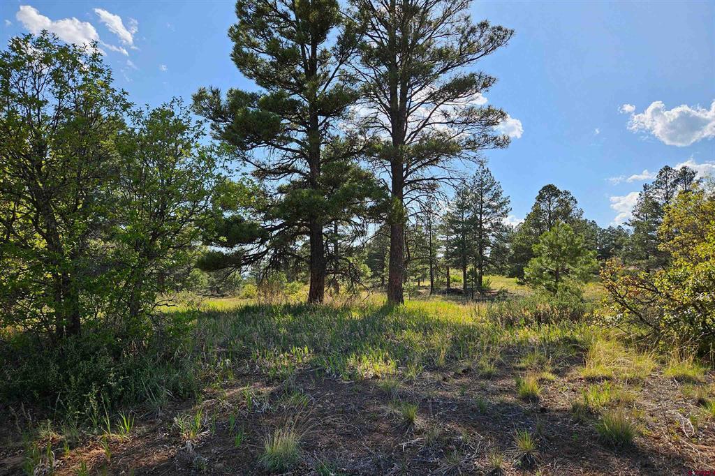1305 Trails Boulevard Property Photo 15