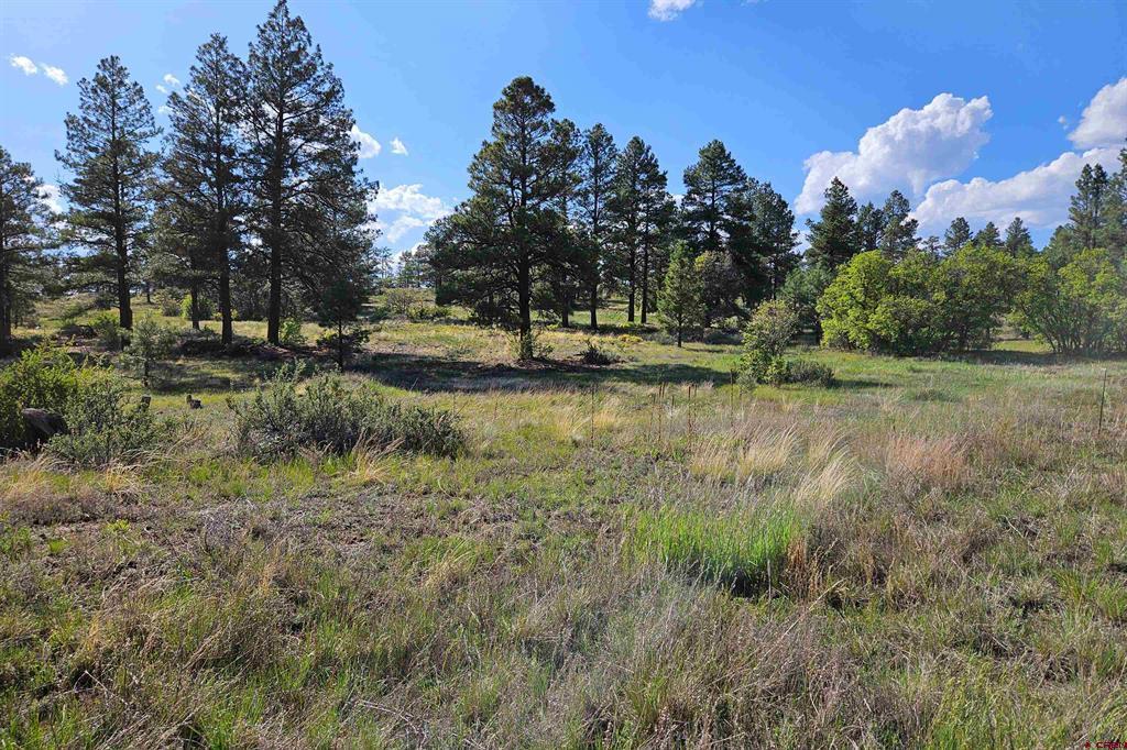1305 Trails Boulevard Property Photo 20