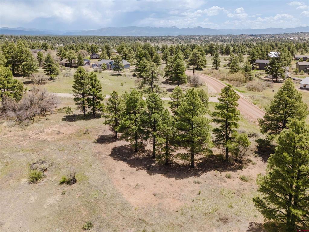 1305 Trails Boulevard Property Photo 22