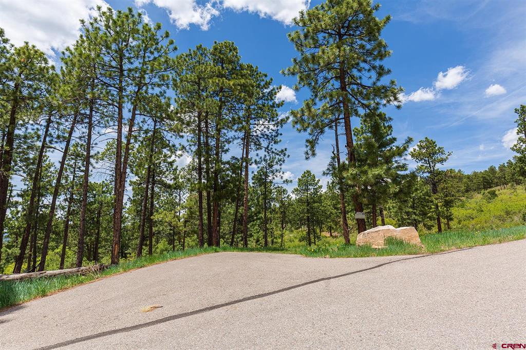 3111 Durango Cliffs Drive Property Photo 7