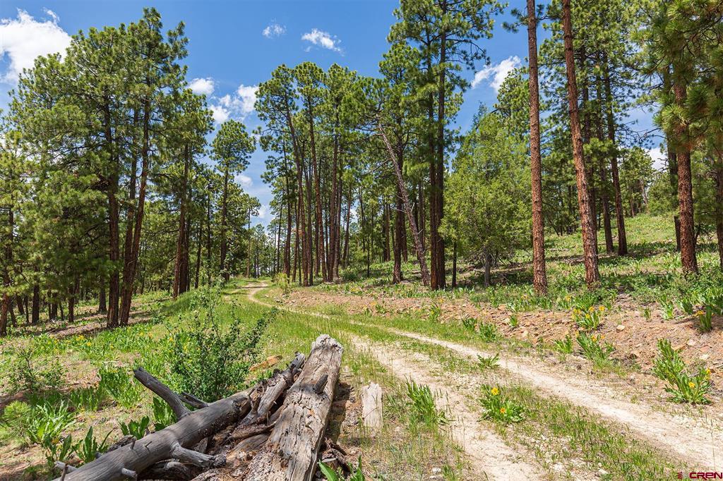 3111 Durango Cliffs Drive Property Photo 8