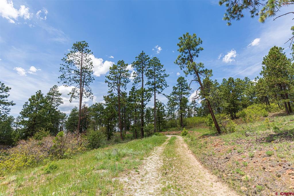 3111 Durango Cliffs Drive Property Photo 9