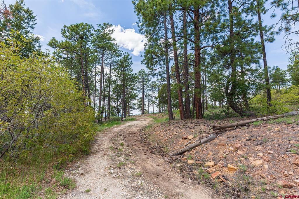 3111 Durango Cliffs Drive Property Photo 10