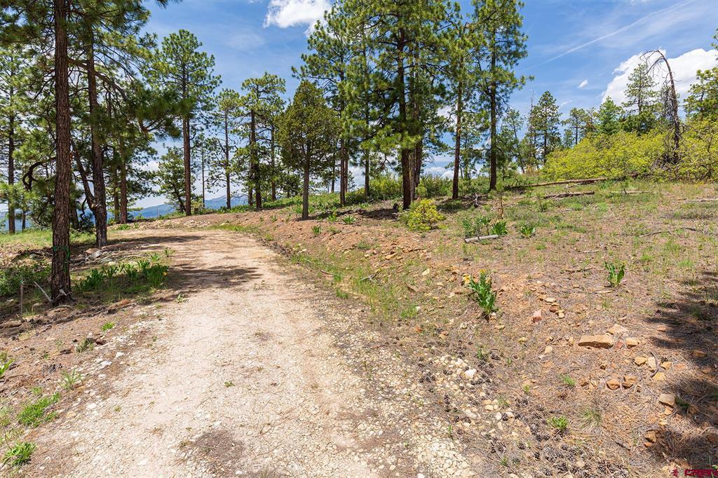 3111 Durango Cliffs Drive Property Photo 11