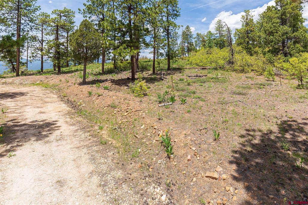 3111 Durango Cliffs Drive Property Photo 12