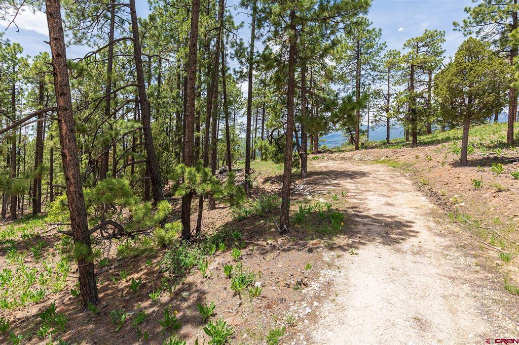 3111 Durango Cliffs Drive Property Photo 13