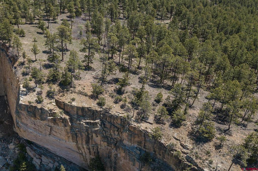 3111 Durango Cliffs Drive Property Photo 16
