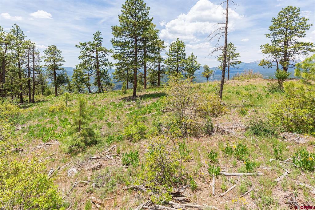 3111 Durango Cliffs Drive Property Photo 19