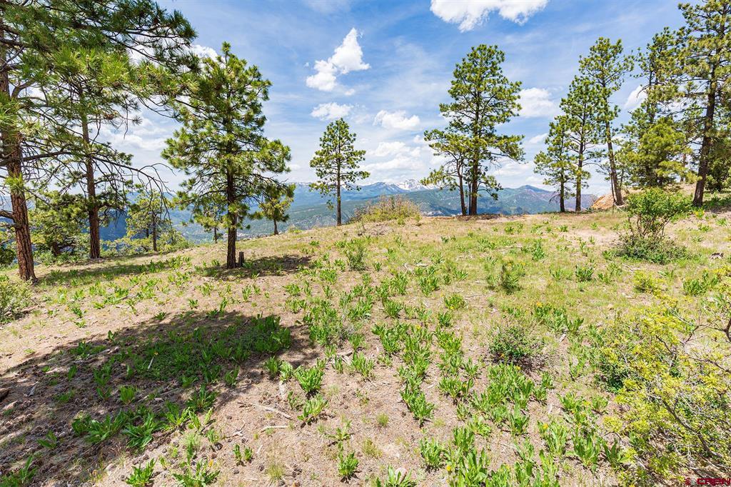 3111 Durango Cliffs Drive Property Photo 20