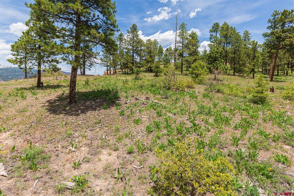 3111 Durango Cliffs Drive Property Photo 21