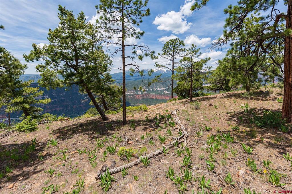 3111 Durango Cliffs Drive Property Photo 22