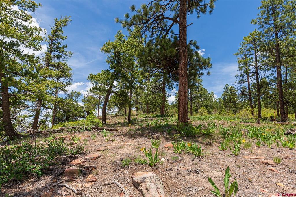 3111 Durango Cliffs Drive Property Photo 28