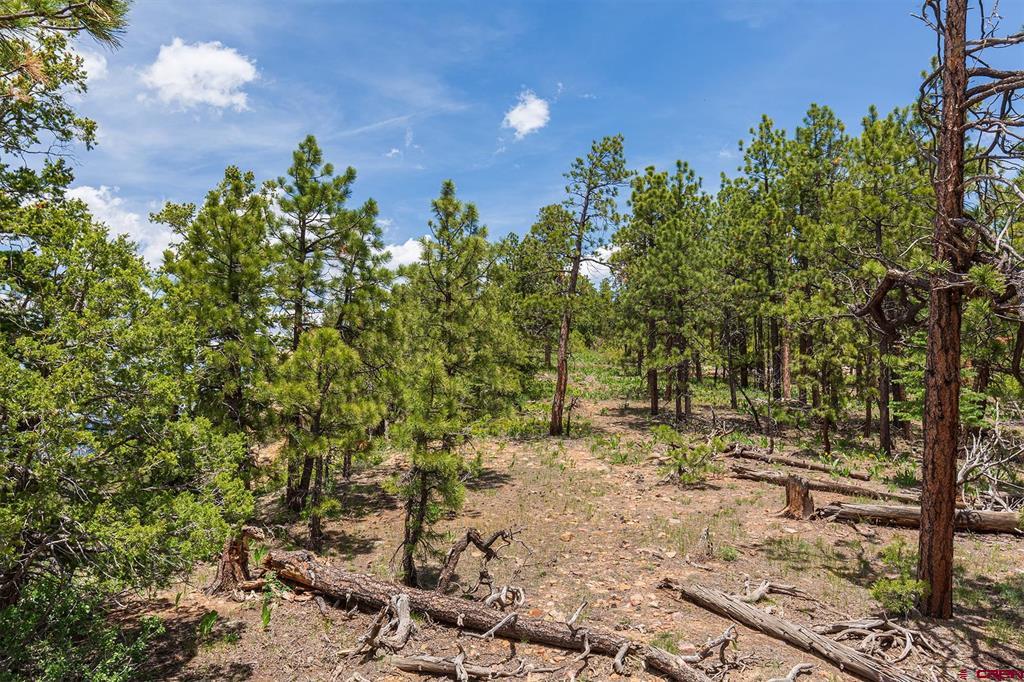 3111 Durango Cliffs Drive Property Photo 31