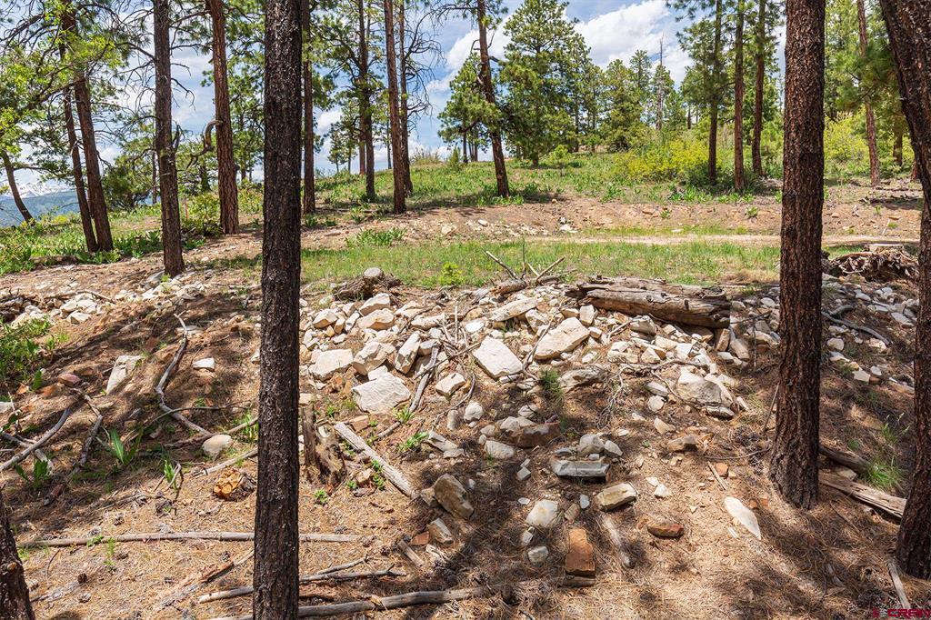3111 Durango Cliffs Drive Property Photo 32